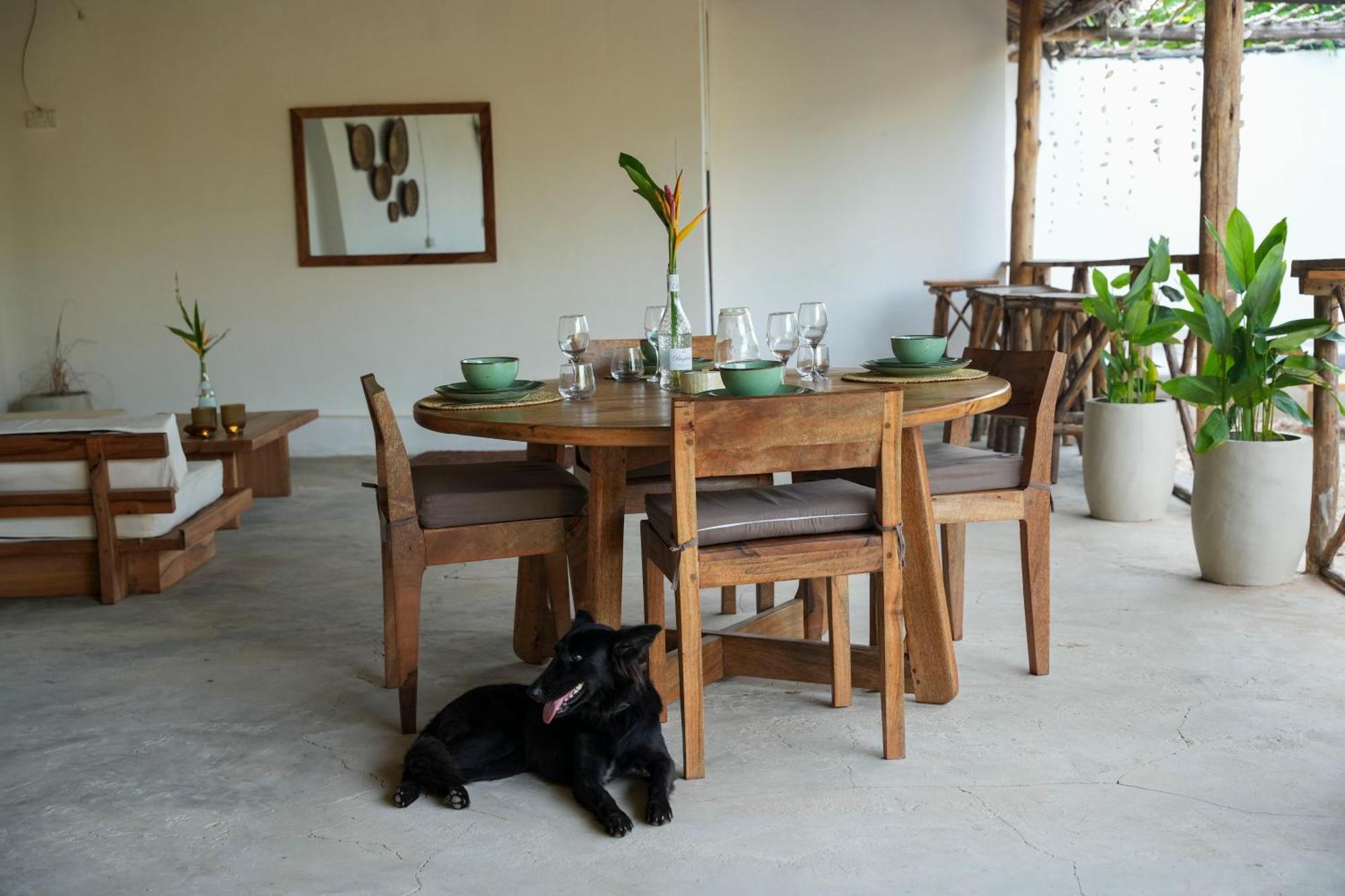 Kendwa Breeze Bungalows Eksteriør billede